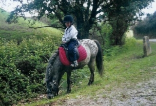  Reiten in der Umgebung des Parks 